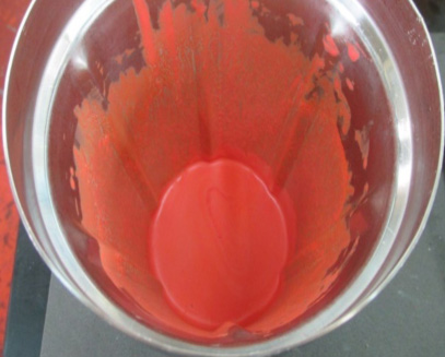 W/Oチーク(焼付け処理) 洗浄前